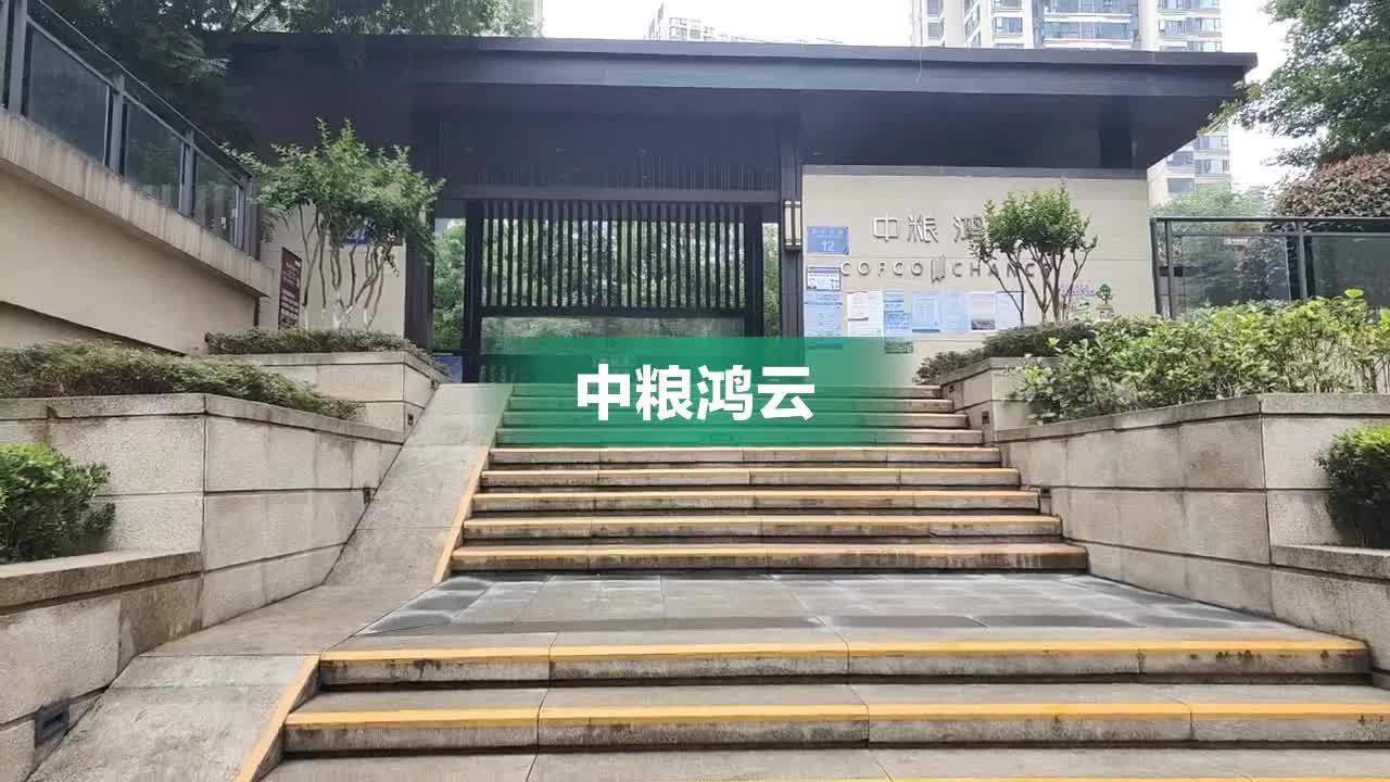 中粮鸿云成都最新动态，引领城市卓越发展的力量